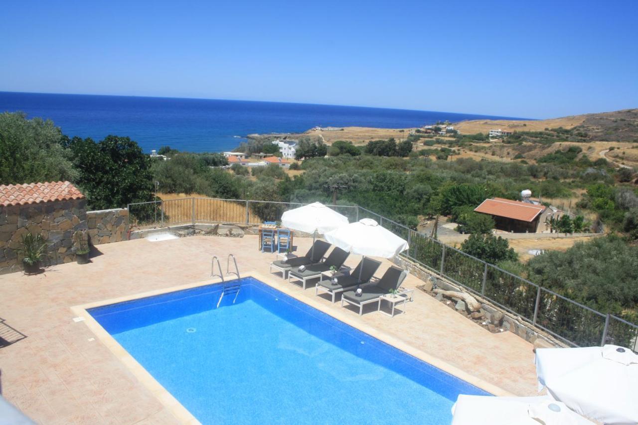 Holiday Apartments,Polynikis Sea-Cret, Pachyammos Екстер'єр фото